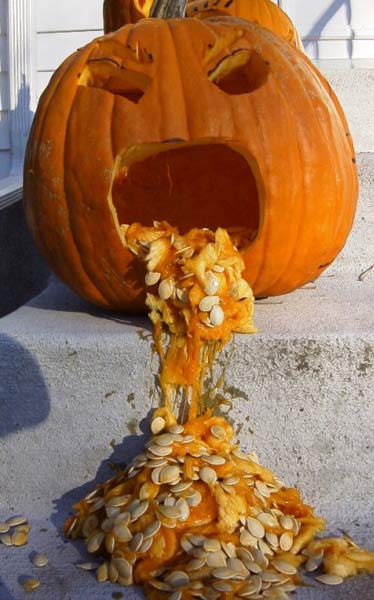 pumpkin_a.jpg